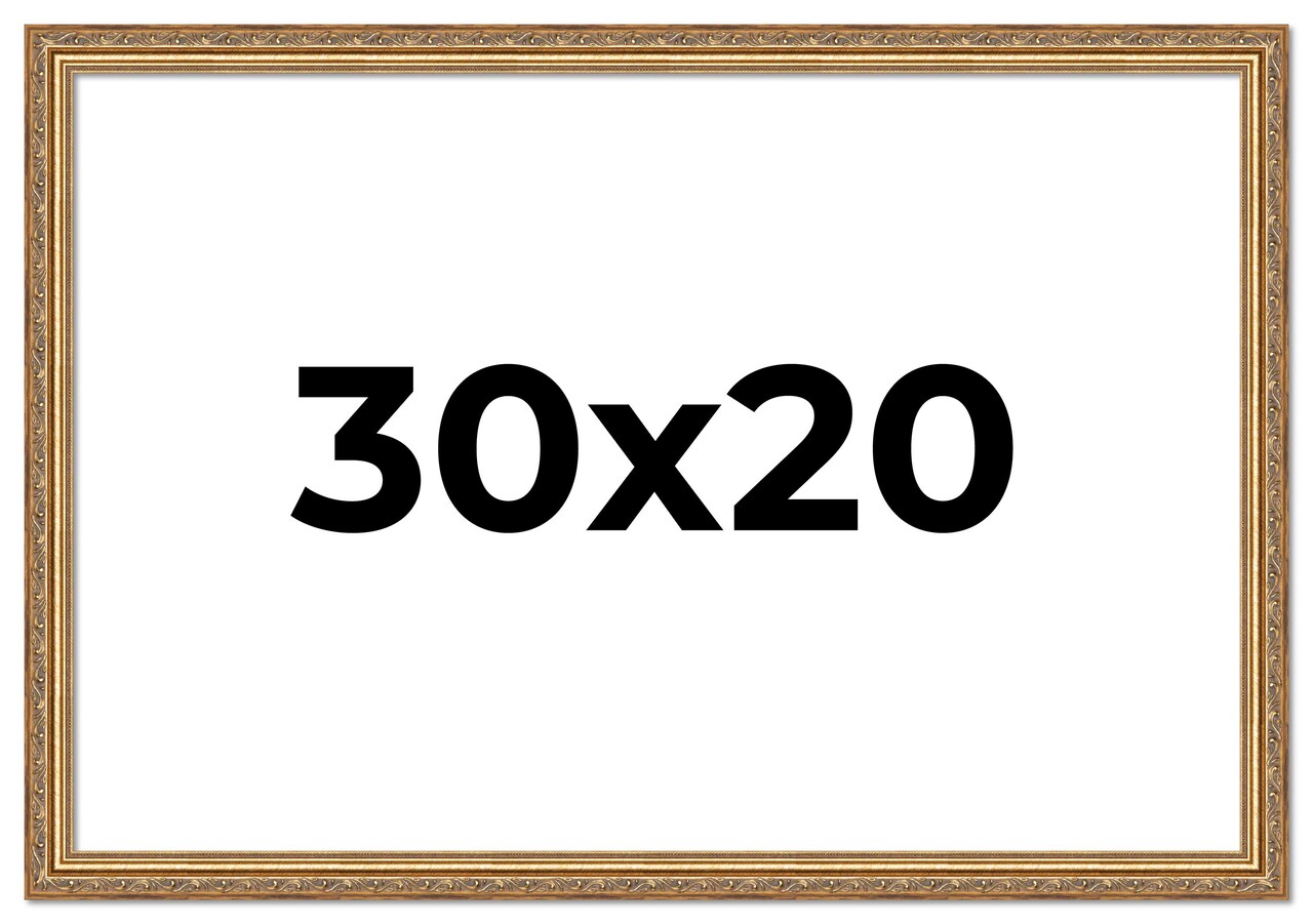 30x20 Solid Wood Antique Picture Frame with UV-Resistant Acrylic & Acid-Free Backing, Available in 4 Finishes: Bronze, Gold, Silver, and Gold with Black